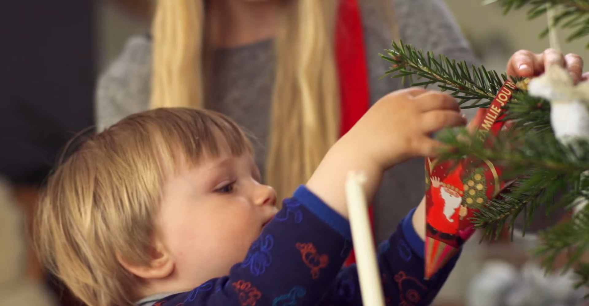 Prachtige Original Nordmann kerstbomen vanaf € 25,-